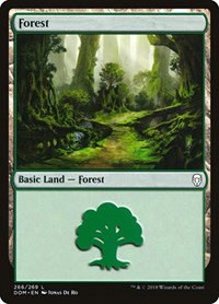 Forest - Foil