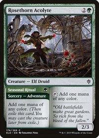 Rosethorn Acolyte - Foil