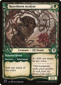 Rosethorn Acolyte - Foil