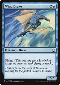 Wind Drake - 17 264