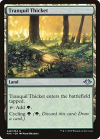 Tranquil Thicket - Foil
