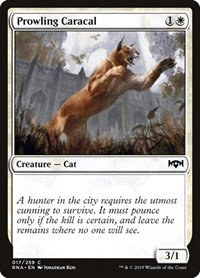 Prowling Caracal - Foil