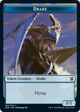 Drake Token - Normal Drake Token
