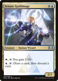 Senate Guildmage - Foil