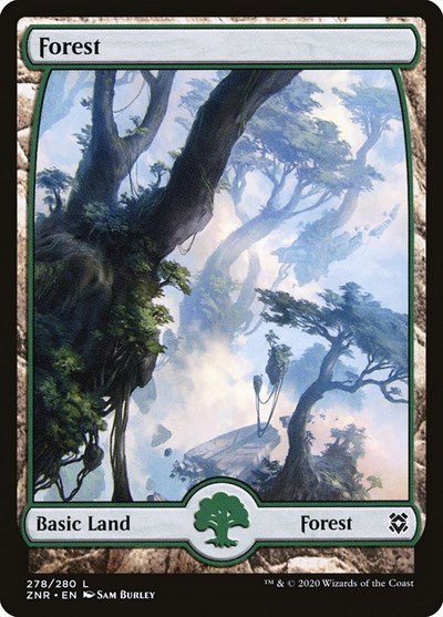 Forest (278) - Full Art - Foil