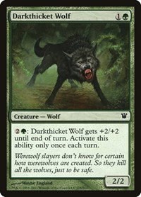 Darkthicket Wolf - Foil