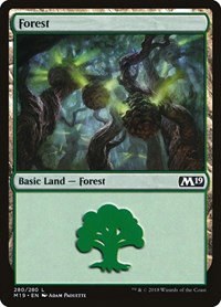 Forest - Foil