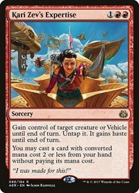 Kari Zev's Expertise - Foil
