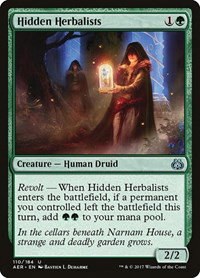 Hidden Herbalists - Foil