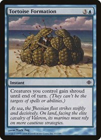 Tortoise Formation - Foil