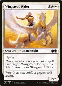 Wingsteed Rider - Foil