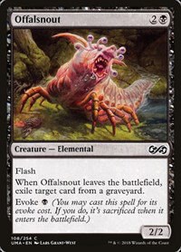 Offalsnout - Foil