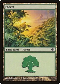 Forest - Foil