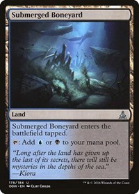 Submerged Boneyard - Foil