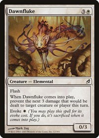 Dawnfluke - Foil