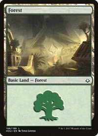 Forest - Foil