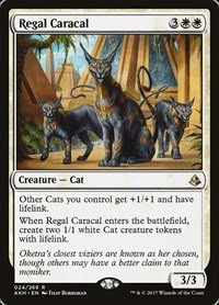 Regal Caracal - Normal Regal Caracal