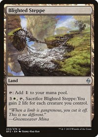 Blighted Steppe - Foil