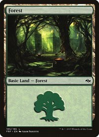 Forest - Foil