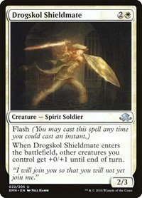 Drogskol Shieldmate - Foil