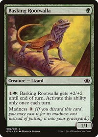 Basking Rootwalla - Normal Basking Rootwalla