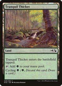 Tranquil Thicket - Normal Tranquil Thicket