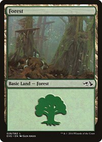 Forest - Evg