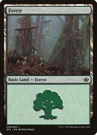 Forest - Gvl