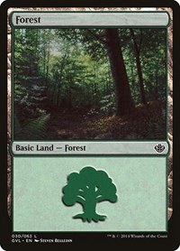 Forest - Gvl