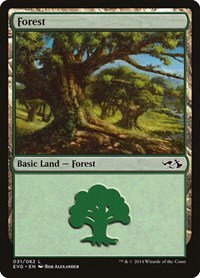Forest - Evg