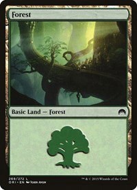 Forest - Foil