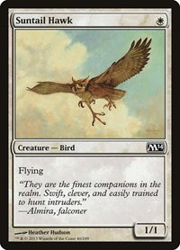 Suntail Hawk - Foil