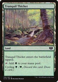 Tranquil Thicket