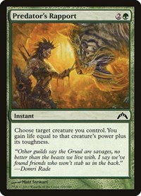 Predator's Rapport - Foil