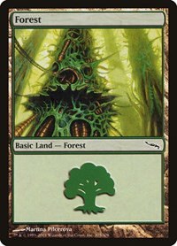 Forest - Foil