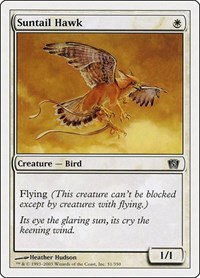 Suntail Hawk - Foil