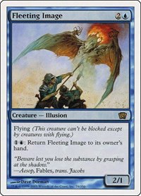 Fleeting Image - Foil