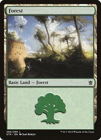 Forest - Foil