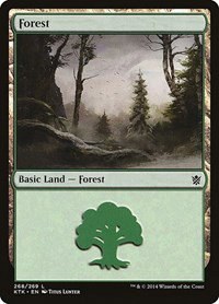 Forest - Foil