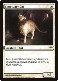 Sanctuary Cat - Foil