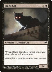 Black Cat - Foil