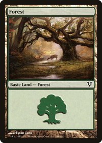 Forest - Foil