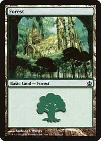 Forest