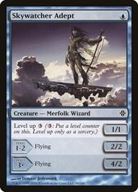 Skywatcher Adept - Foil