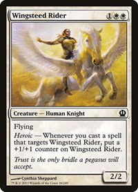 Wingsteed Rider - Foil