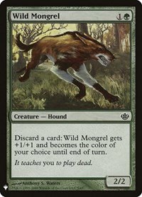 Wild Mongrel - Normal Wild Mongrel