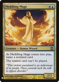 Meddling Mage - Normal Meddling Mage