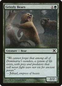 Grizzly Bears - Foil