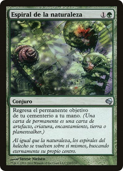 Nature's Spiral (Spanish) - "Espiral de la naturaleza"