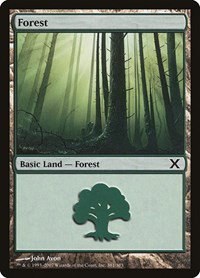 Forest - Foil